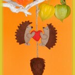 Pakket Dennenappel egel