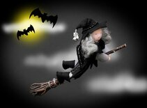 Pakket Vleermuisheksje