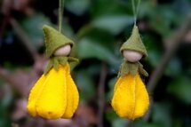 Pakket Krokushangertje geel