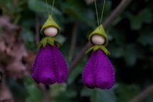 Pakket Krokushangertje lila