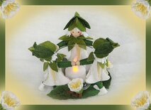 Pakket Haagwinde lichtje