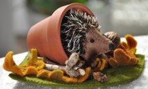 Pakket Egel in een potje