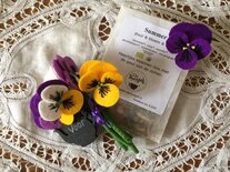 Pakket Viooltjes met thee van de theejuf (paars, lila, geel en roomwit)