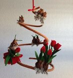 Pakket Van bol tot bloem tulp