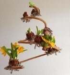 Pakket Van bol tot bloem narcis