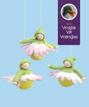 Pakket Madeliefbolletjes