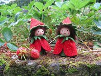 Pakket Aardbeikindjes