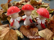 Pakket Vliegenzwammetjes