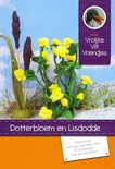 Pakket Dotterbloem en lisdodde