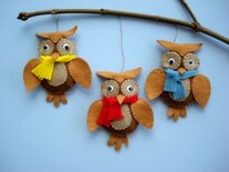 Pakket Drie uiltjes met wiebeloogjes