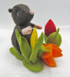 pakket Lentekriebels Molletje met tulpjes