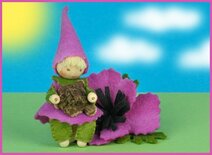 Pakket Anemoonkindje met knolletje rose