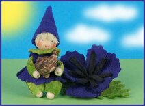 Pakket Anemoonkindje met knolletje Paars