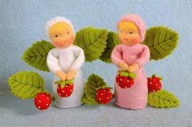 Pakket Aardbeienzusjes