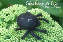 Pakket Spin Sebastiaan