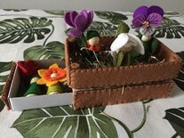 Pakket Voorjaar in een kistje