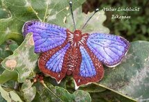 Pakket Vlinder Eikepage