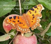 Pakket De Gehakkelde Aurelia