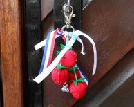 Pakket Aardbeien sleutelhanger