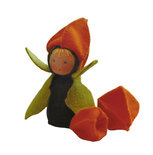 Pakket Tafelpopje Lampion