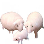 Pakket Drie schaapjes