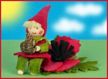 Pakket Anemoonkindje met knolletje rood