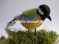 Pakket Een Koolmeesje