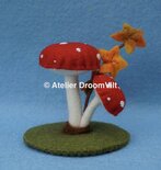 Pakket Paddenstoelen