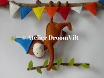 Pakket Droomvilt aapje viert feest