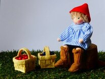 Pakket Hansje in bessenland