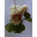 Pakket Bloemenhanger klavertje