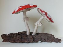 Pakket Vliegenzwammetjes