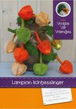 Pakket Lampion lichtjesslinger