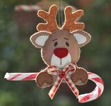 Pakket Robbie rendier