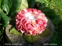 Pakket Waxinelichtje Hortensia roze groen