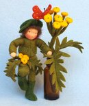 Pakket Boerenwormkruid