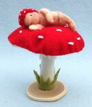 Pakket Paddenstoelbaby