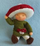 Pakket Boskabouterkind