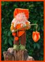 Pakket Kabouter Lampion