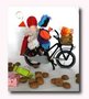 Patroonblad Ook de Sint pakt de fiets