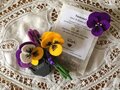 Pakket Viooltjes met thee van de theejuf (paars, lila, geel en roomwit)