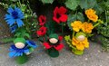 Pakket Korenbloem