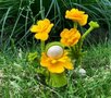 Pakket Boterbloem