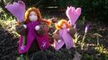 Pakket Wortelkinderen Krokus