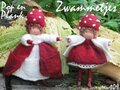 Pakket Zwammetjes