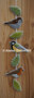 Pakket Vogeltjesslinger
