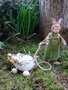 Pakket Paashaaskinderen