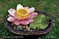 Pakket Waxinelichtje De lotus