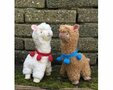 Pakket Alpaca Ecru