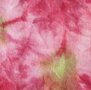 Sprookjesvilt 17  hortensia-roze